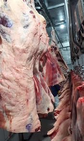 a5360696-b4c9-4888-94c9-378fde71a300.jfif