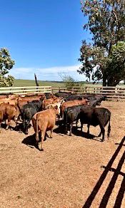 5fa3372c-a19b-416b-ab65-3c7f313d8bd9.jfif