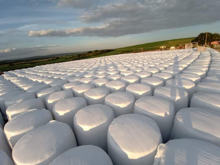 WhatsApp Image 2025-06-16 at 18.32.09.jpeg