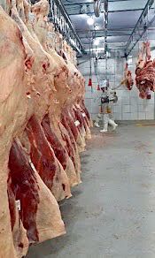 b283c45d-0766-463e-bb5c-75f342b2e5f7.jfif