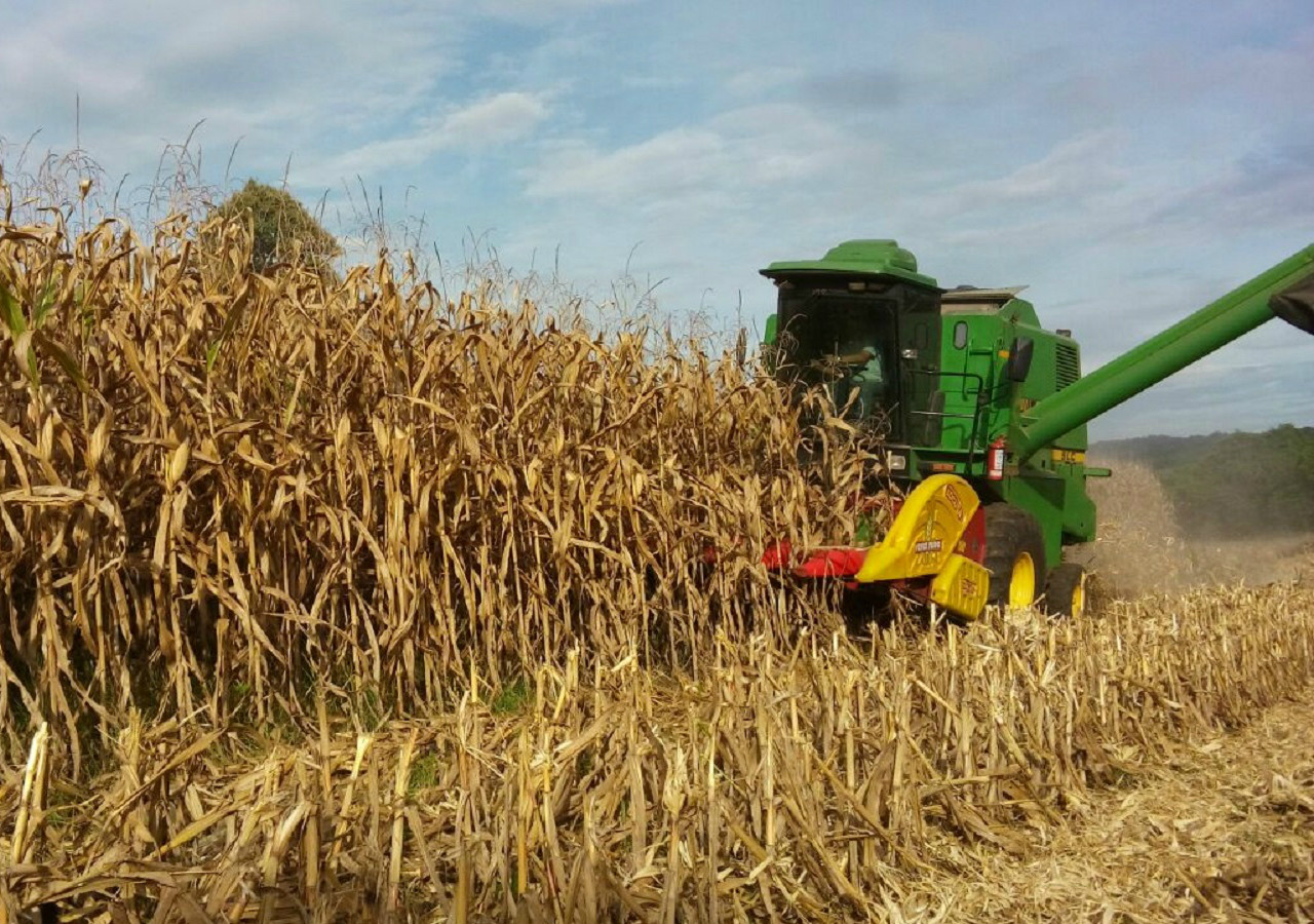 7e39e457-d08f-4c05-8f07-bf39e40b88fc.jfif