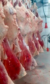 1650b3cb-7830-490f-b666-d990a9d2c666.jfif