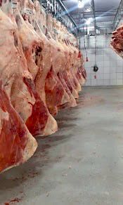 23a82b42-e525-4e64-aadc-894bbea45b05.jfif