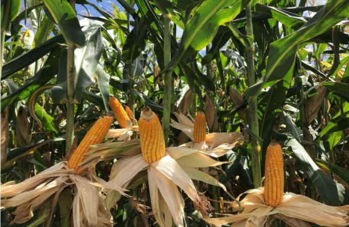 WhatsApp Image 2025-06-16 at 18.32.07 (1).jpeg