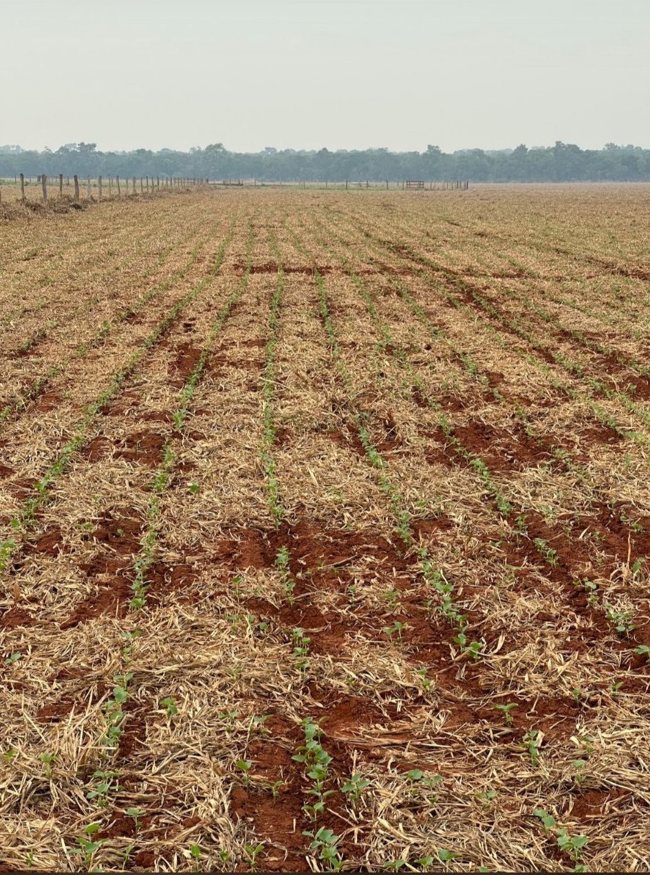 WhatsApp Image 2025-06-16 at 18.32.08 (3).jpeg