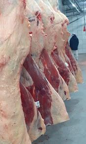 ecb6057b-80fe-493a-8d22-a7e0f9193cda.jfif