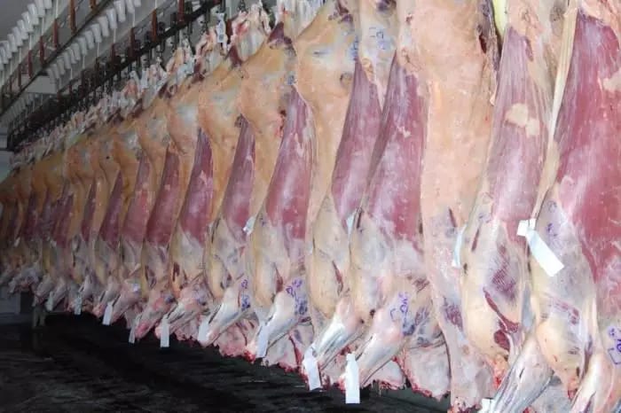 73598d01-e553-49e3-bcc4-223870b35c8f.jfif